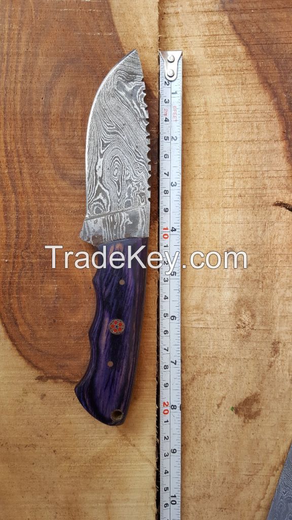 Damascus Fixed blade Knife