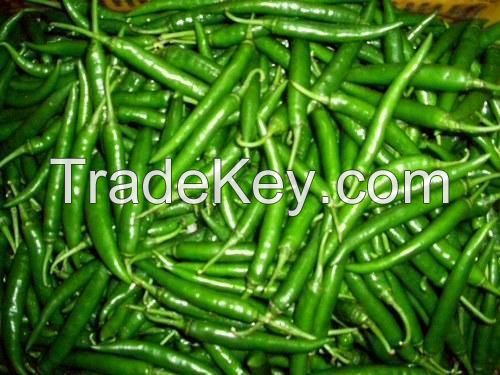 Fresh Green G4 chillies