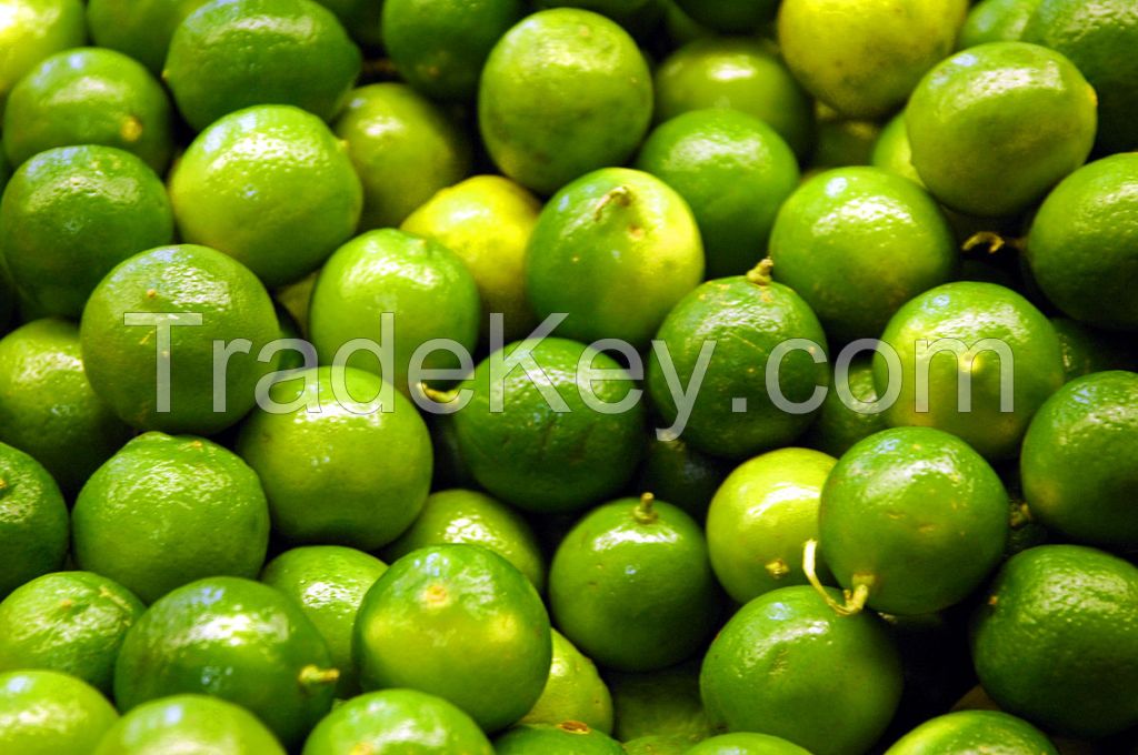 Fresh Green Lemon