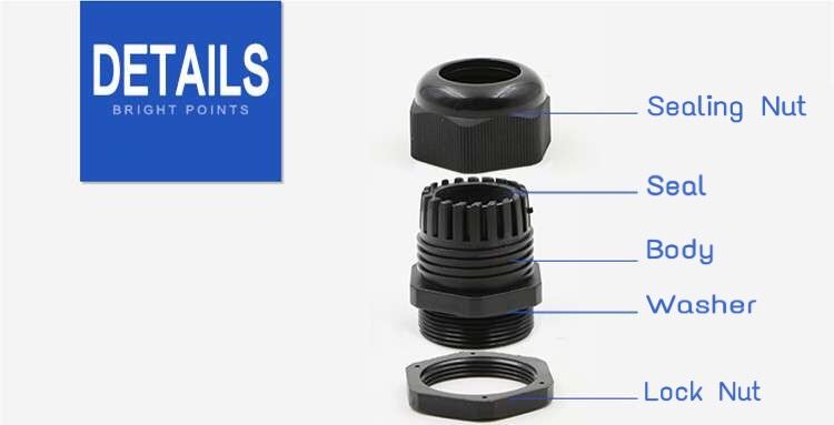 Cable Gland