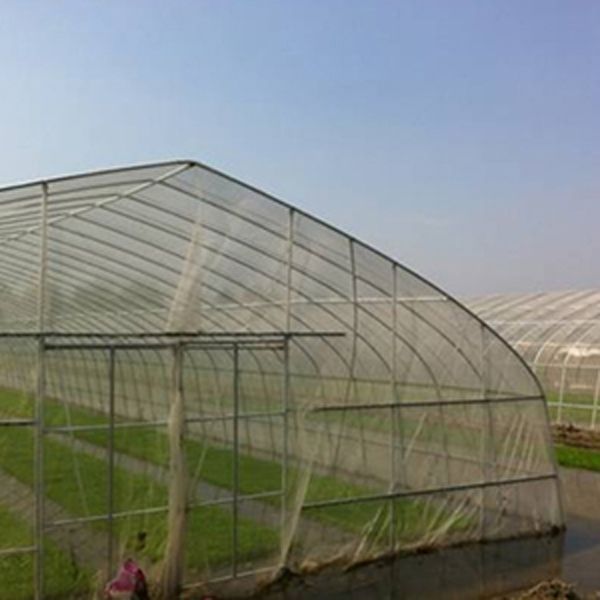 Agricultural Anti Insect Mesh Proof Net for Greenhouse