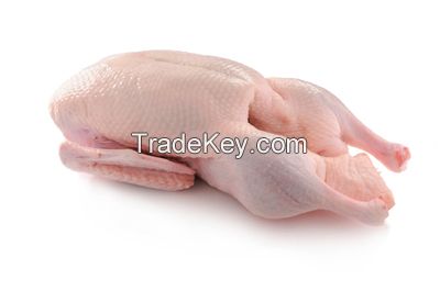 Frozen Whole Duck