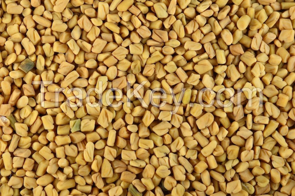 animal, fish and poultry feed