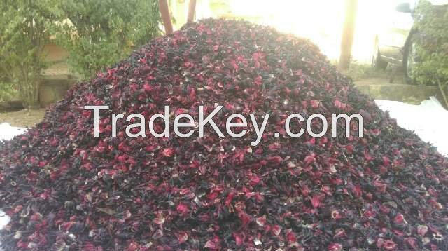 Dried Hibiscus Flower | Hibiscus Fower