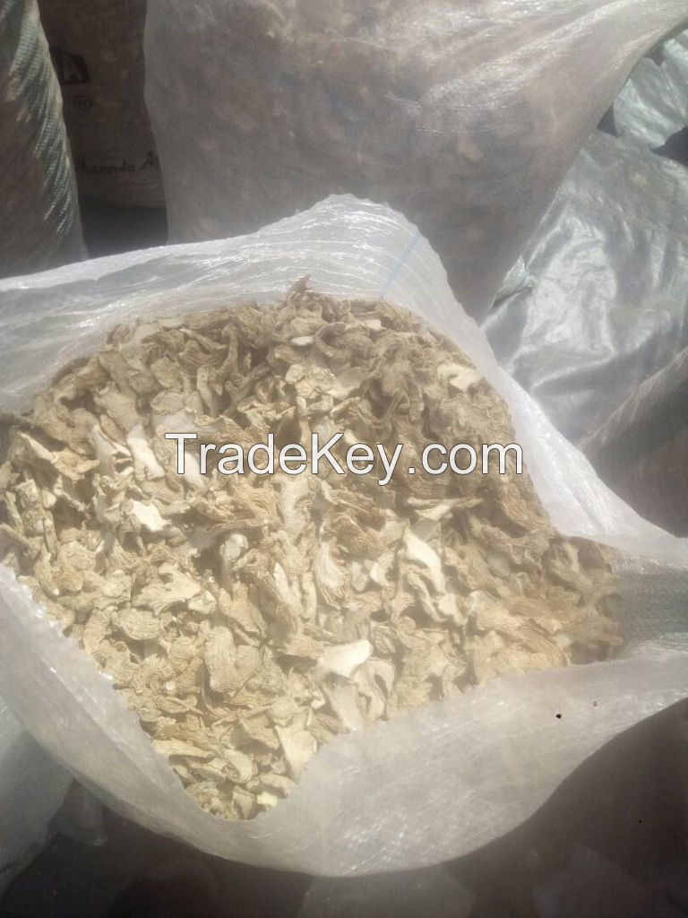 Ginger | dried Split Ginger Exporter