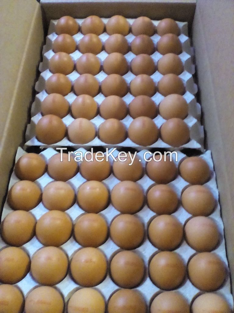 Brown and white chicken eggs