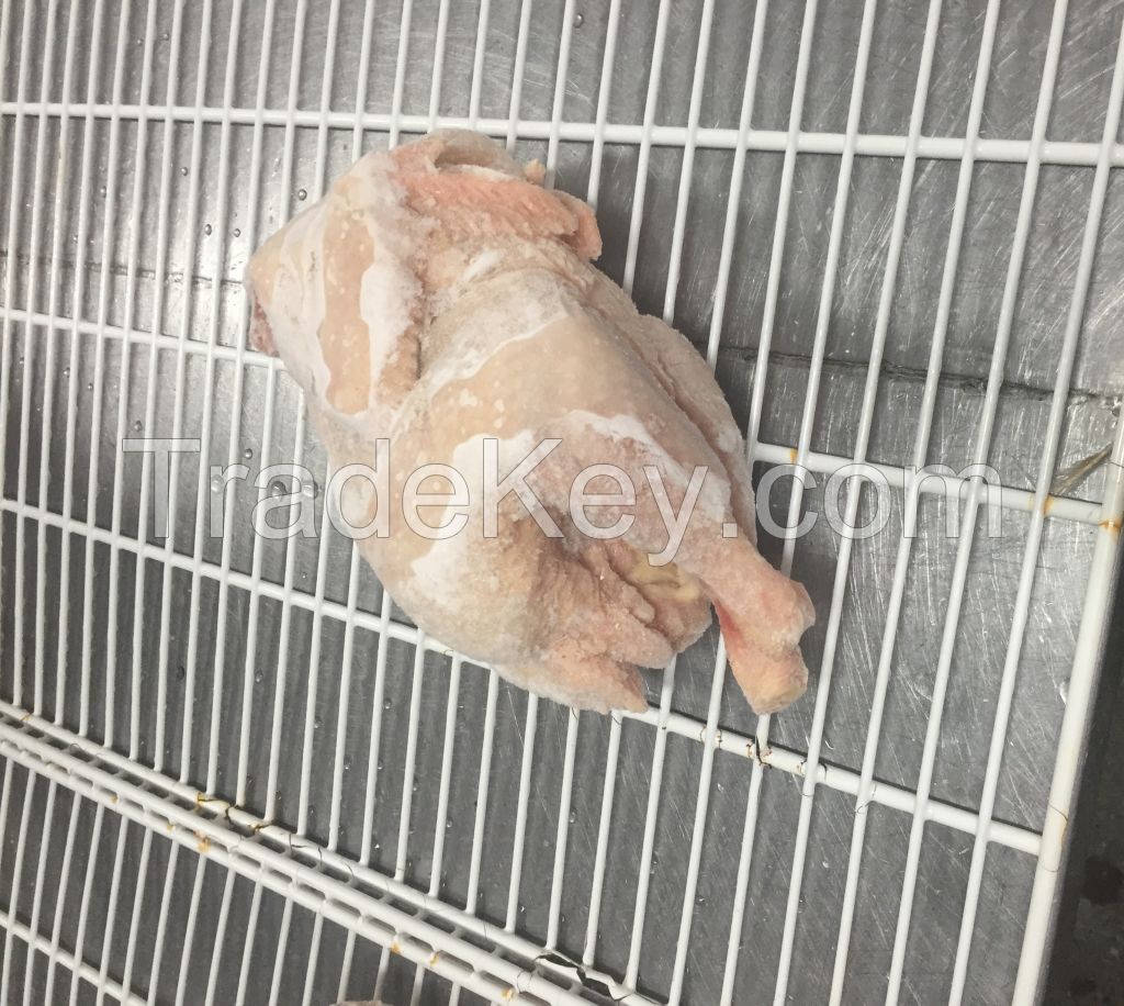 Whole frozen chicken