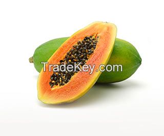 Organic Papaya Fruit 