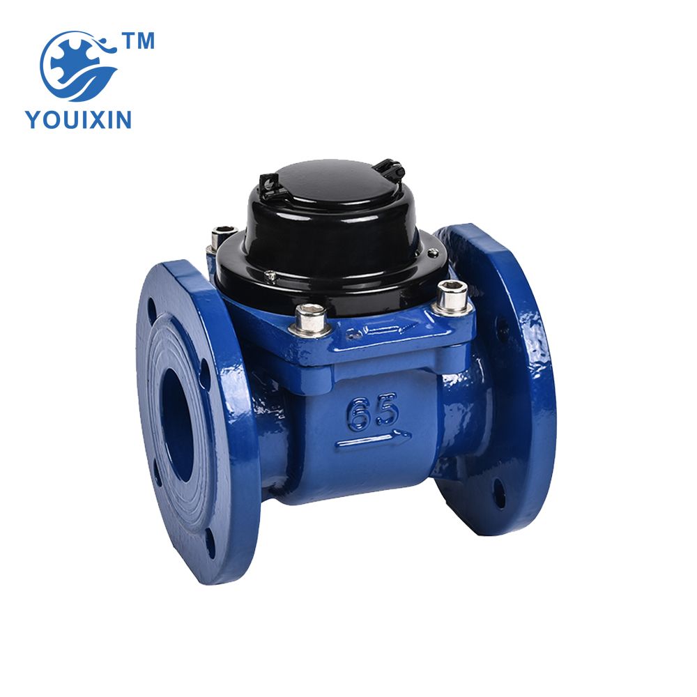 DN50 woltman water meter