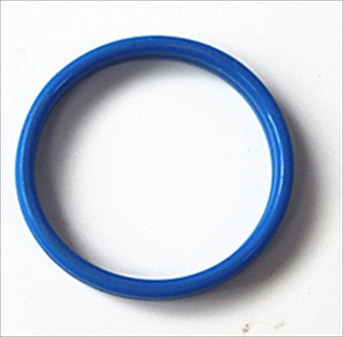 Manufacture Supply Blue color Vitonl O Ring