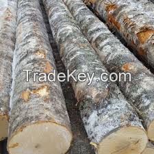 Birch Logs