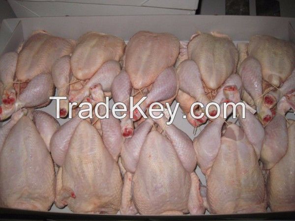 Halal Frozen Whole Chicken / Frozen Chicken Feet / Frozen Chicken Paws