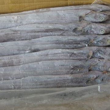 FROZEN: WHOLE RIBBON FISH