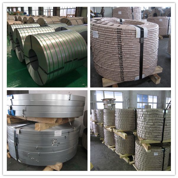 zinc coated steel coil galvanized steel sheet in coil