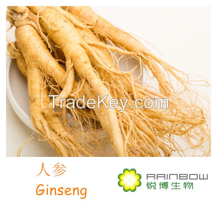 Ginseng Extract-80% Ginsenosides
