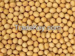 BEST QUALITY NON GMO SOYA BEAN