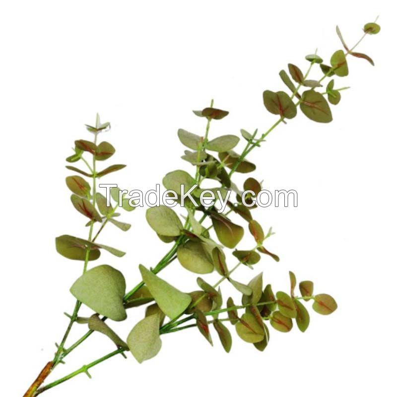Artificial Eucalyptus Leaves for Garden Decoration