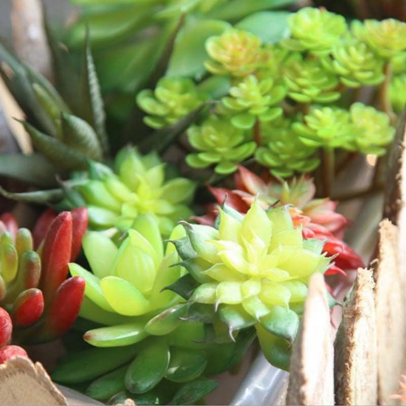 3 inch High Artificial Succulent Pick Plant in PVC
