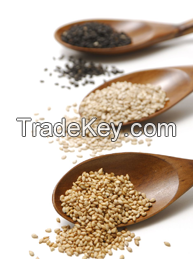 Organic Sesame Seeds