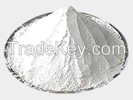 Fly Ash Bricks