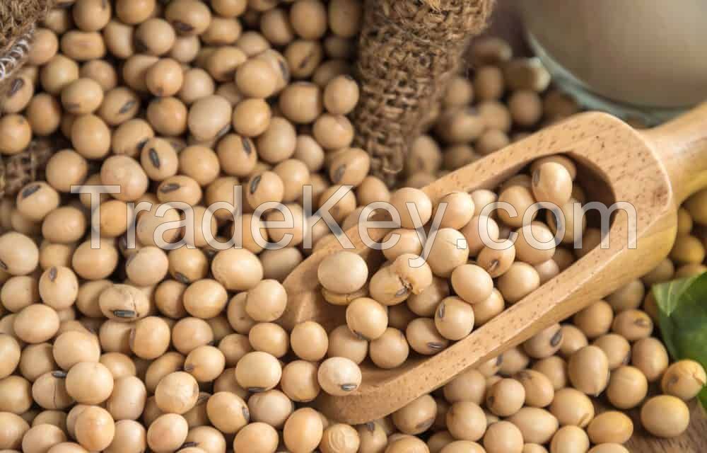 Soybeans