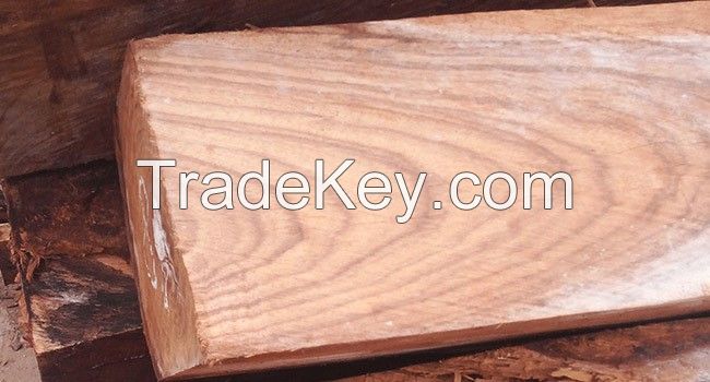 Kosso Wood, Pterocarpus Erinaceus