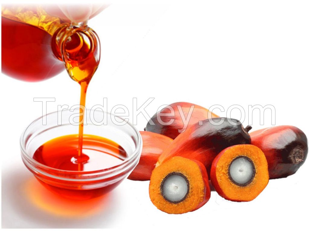 Palm Kernel Nut and Oil