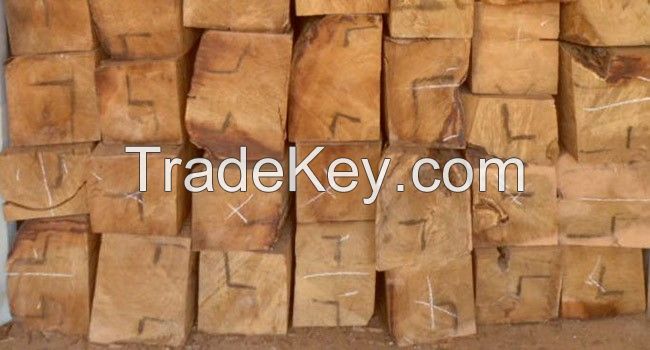 Kosso Wood, Pterocarpus Erinaceus