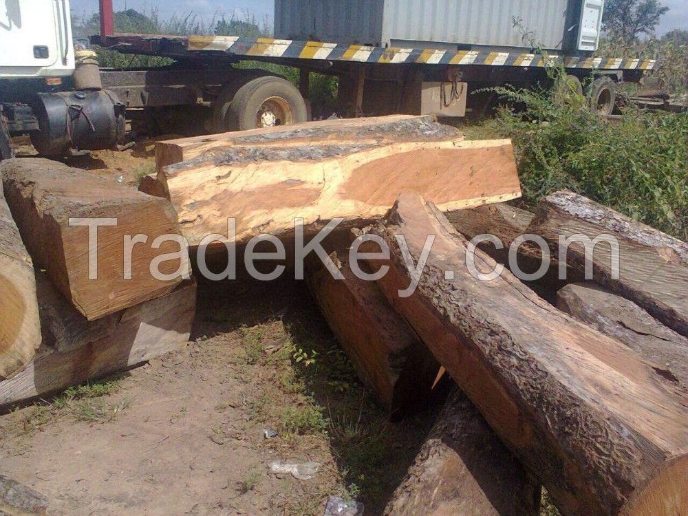 Kosso Wood        Pterocarpus Erinaceus