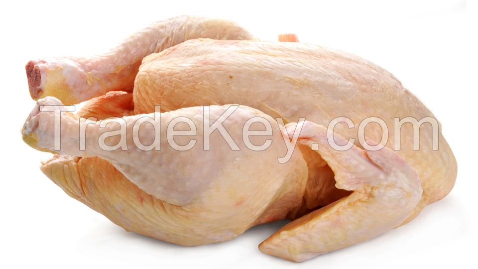 Frozen Whole Chicken , Chicken Feet, Chicken Wings, Chicken Paws for Sale with Low Price