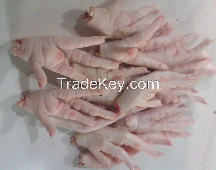 Chicken Paws , Halal Grade A Chicken Feet /, Frozen Chicken Paws