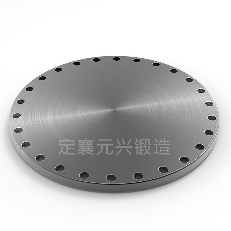 standard stainless steel plate forged blind flange