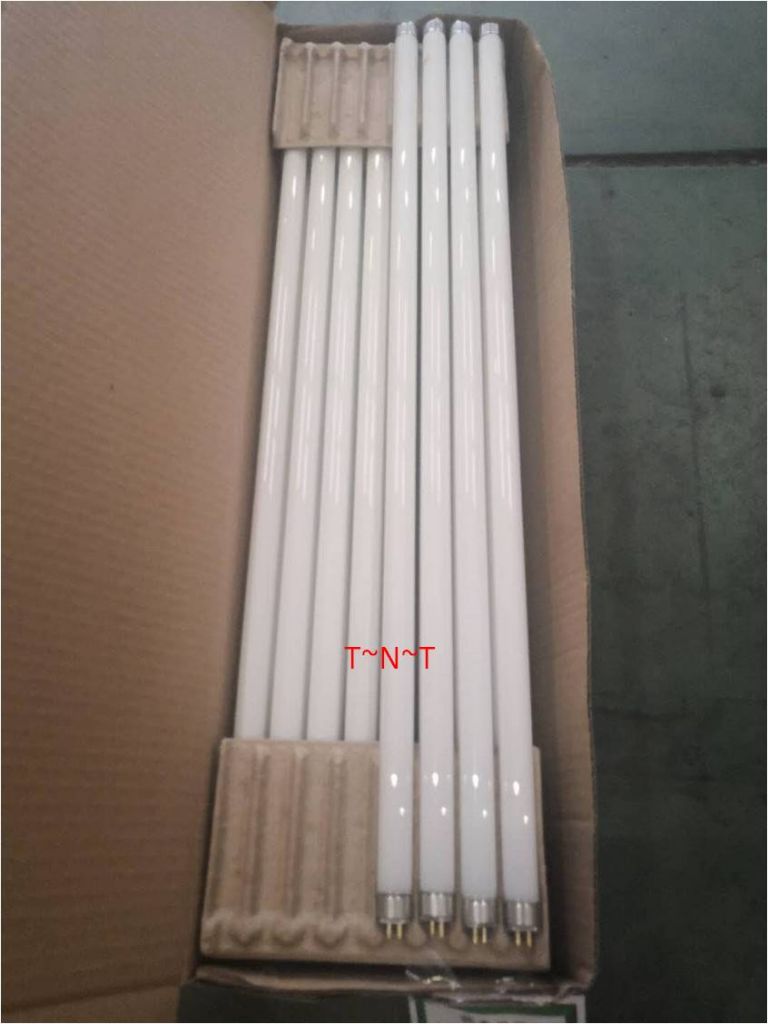 T5 Linear Fluorescent Lamps, 2 Foot, 14w/24w