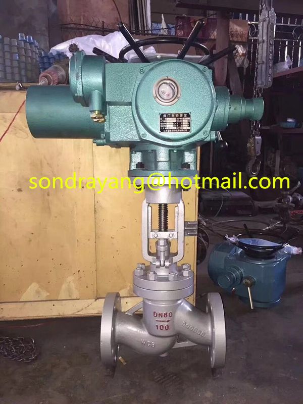 OS&amp;amp;amp;amp;amp;Y Globe Valve