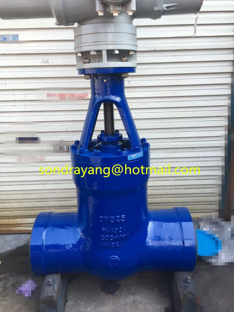 Powerplant Gate Valve