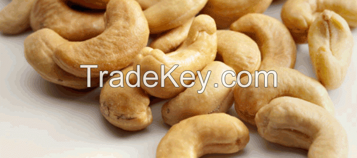 Cashew Nuts