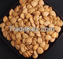 Wholesale Almonds Nuts