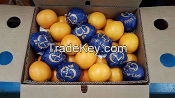 Mandarin Oranges, Bybay Orange, Fresh Orange, Fresh Mandarin