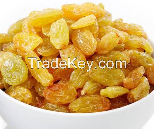 Sundried Raisins Dried Grapes Golden