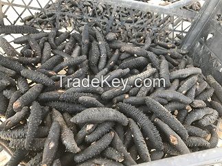 DRIED SEA CUCUMBER