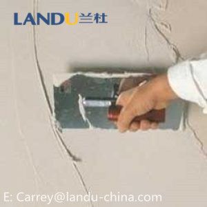 [ Interior Wall Putty ] Construction Grades High Quality HPMC powder