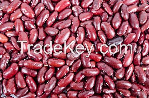 High quaity Red and white Beans, kidney beans from Madagascar