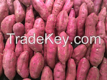 High quality sweet potato from Madagascar