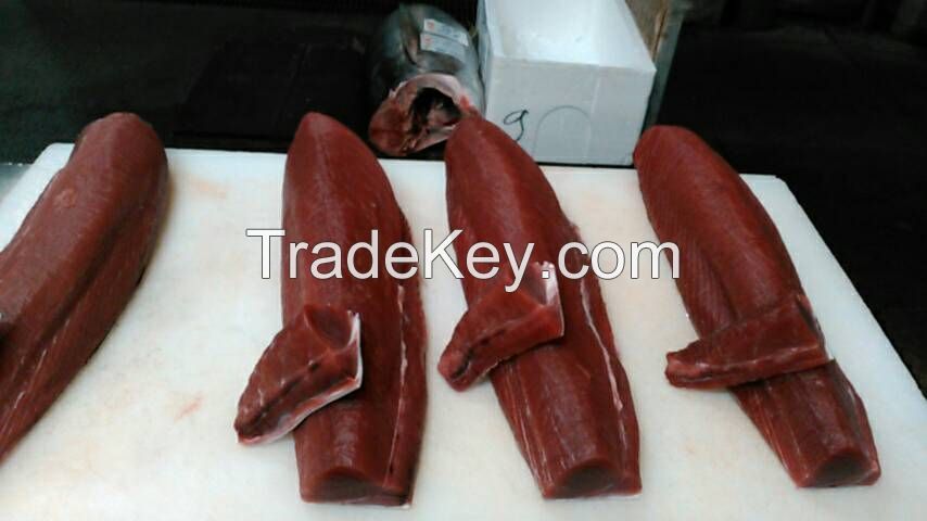 Fresh Loin Yellow Fin Tuna