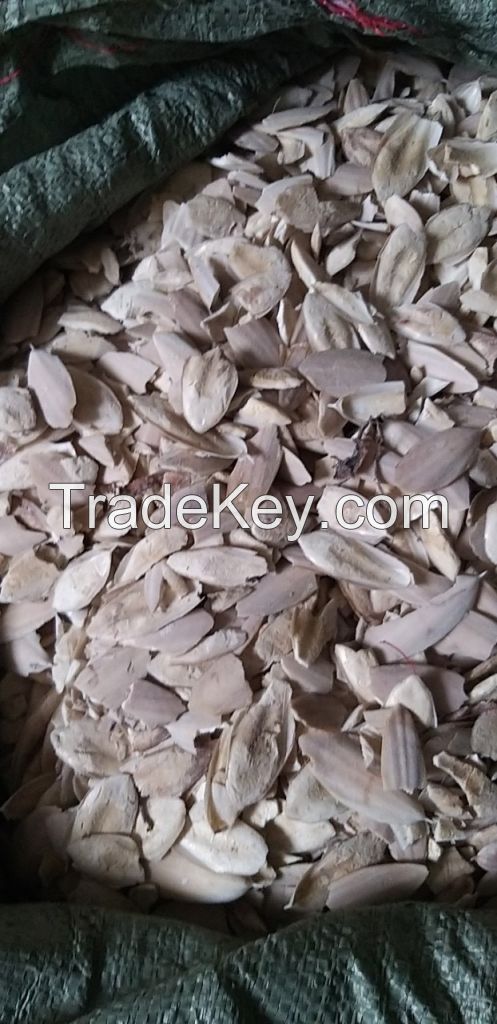 Cuttlefish Bones For Birds With Natural Color or Bleached White Color 0084947900124