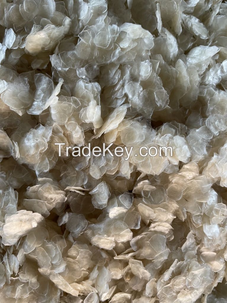 High Quality Dried Fish Scales for Collagen Washed By Acid Dried Fish Scales 0084947900124