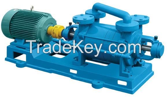 2SK large pumping capacity double stage vacuum pump