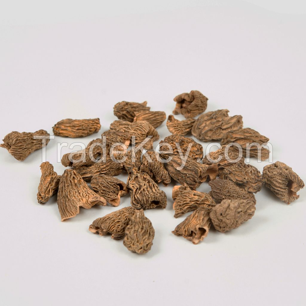 Dried Morels (Verpa Bohemica)