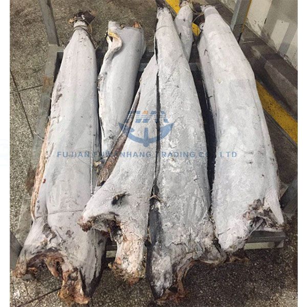 FROZEN SAIL FISH (DWT)