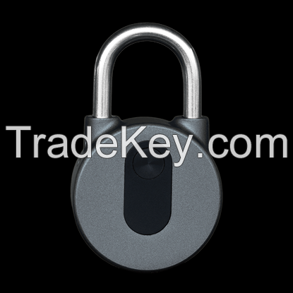 KeyNIE Round Padlock